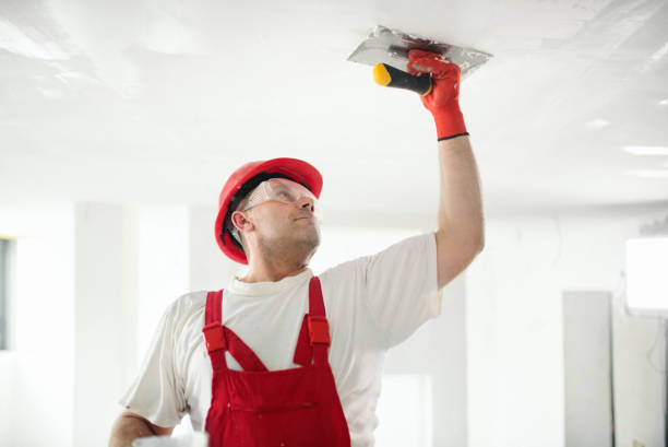 Best Water-Damaged Drywall Repair  in Warren, OH